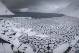 Spitsbergen_2025 (17/78)
